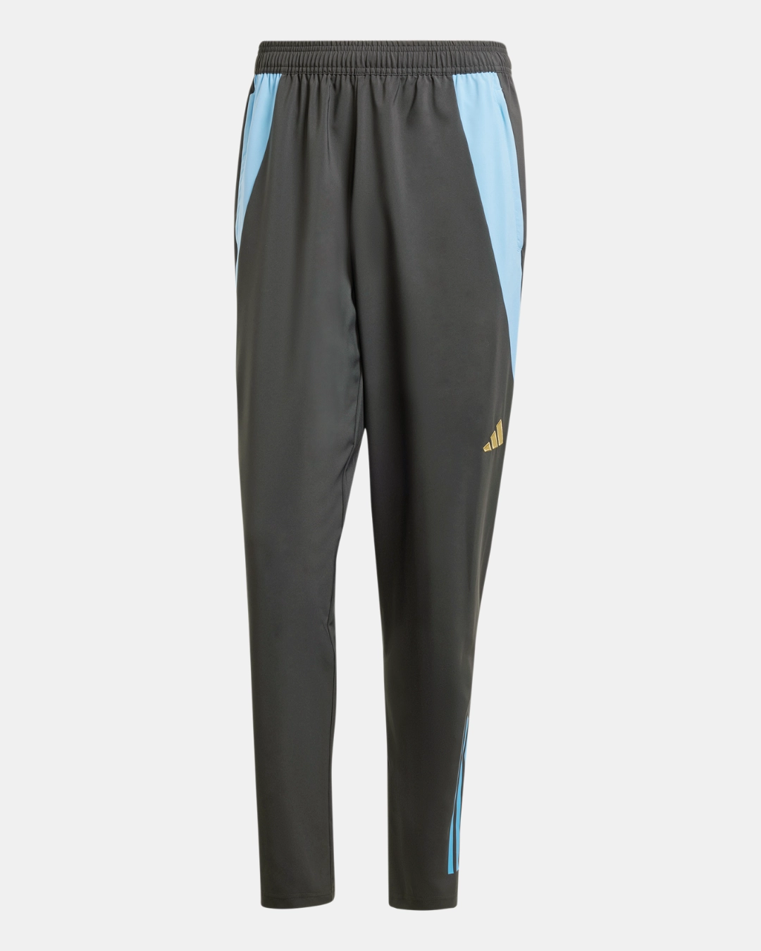 Pantalon de survêtement Argentine 2024 - Gris/Bleu